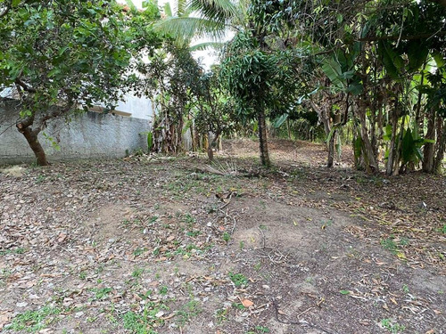 Imagem 11 de 14 de Terreno - Te00022 - 68225325
