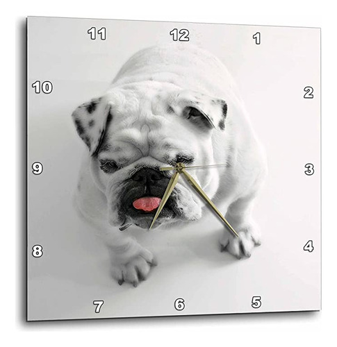 Florene  perro  impresión De Cute Bulldog Sobre .