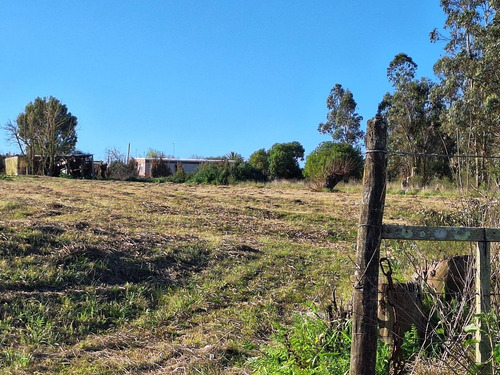 Alquiler De Terreno 5.500m² Sobre Ruta 34 Km. 40