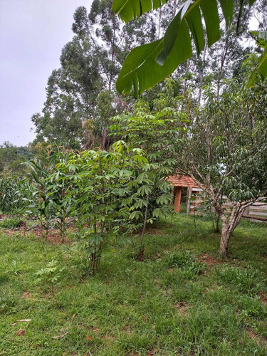Imagem 12 de 30 de Chácara 28.340m2, Rica Em Água Com Açude, Árvores Frutíferas, Casa Sede Com 182m2, 2 Dormitórios, 1 Suíte, Curral, Pomar, Pasto, Poço Caipira - Ch00201 - 70578843