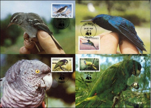 Fauna - Wwf - Aves Caribeñas - Dominica - 4 Tarjetas Maximum