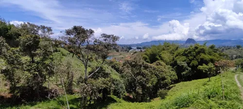 4 Lotes En Venta En El Peñol