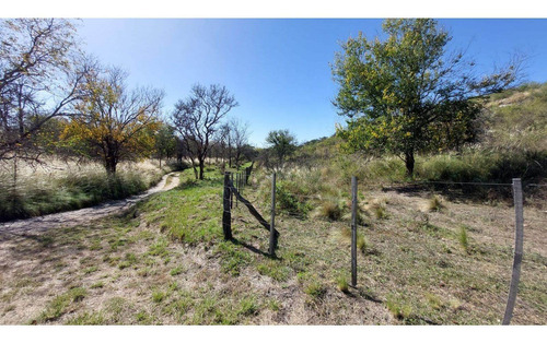 Imagen 6 de 7 de Fracción De 4.13 Ha En Falda Del Carmen. Lote N° 5