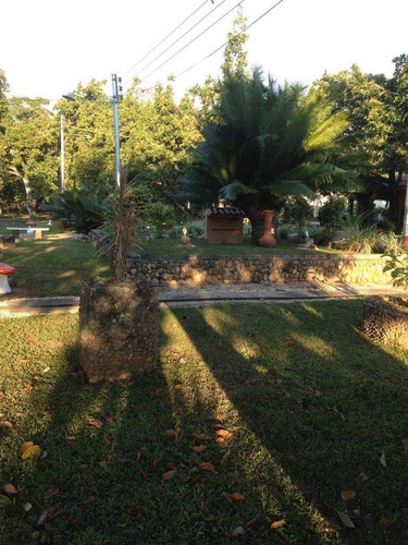 Imagen 8 de 12 de Frances Mijares Vende Finca Terreno Propio En Taguanes Tinaquillo Cód 163349