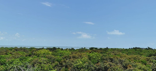 Imagen 4 de 4 de Venta De Terreno 1100mts En Isla Blanca Cancún