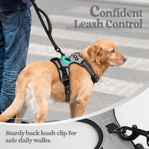 Arnés Para Perro Rabbitgoo, Antitirones, Ajustable, Talla L