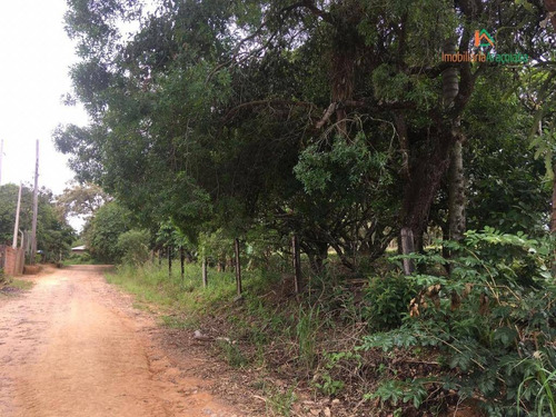 Imagem 10 de 30 de Chácara Com 2 Dormitórios À Venda, 4500 M² Por R$ 350.000,00 - Iperozinho - Capela Do Alto/sp - Ch0150