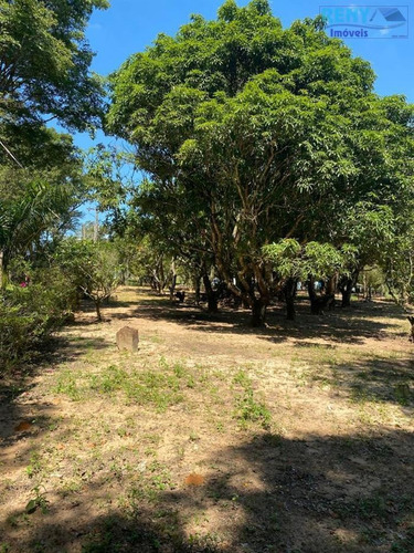 Imagem 13 de 29 de Sítios À Venda Em Sarapui/sp - Compre O Seu Sítios Aqui! - 1491019