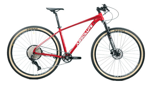 Bicicleta 29 Absolute Wild Boost Elite 12v C/ Hidr (l-19)