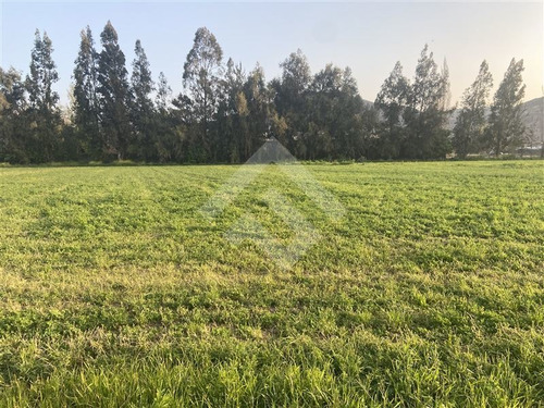 Imagen 6 de 6 de Sitio En Venta En Chicureo