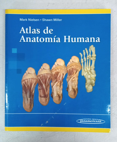 Atlas Anatomia Humana - Nielsen & Miller - Panamericana