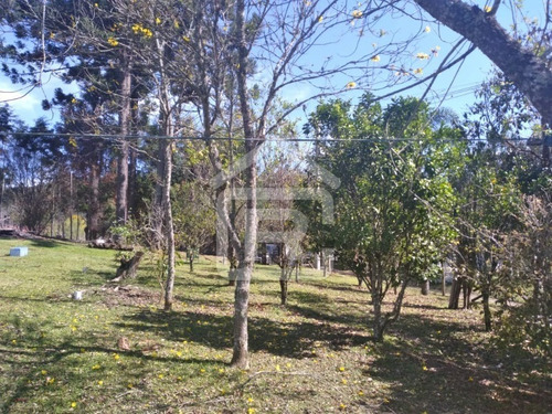 Imagem 6 de 30 de Linda Chacára Com Boa Topografia E Piscina - 27 - 70055572
