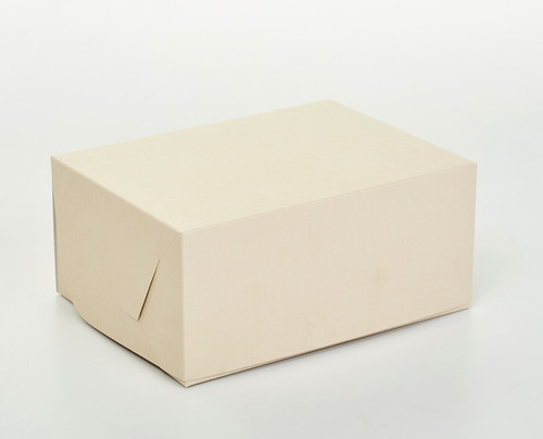 Caja Multiuso Mediana 20x15x9 Cm (x100u) Porciones Lunch 019