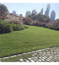Comprar Jardinería Podas Sistemas De Riego Paisajismo Jardinero 
