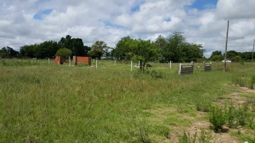 Imagen 4 de 6 de 6 Lotes Contiguos En Zona La Sibila