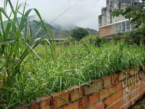 Terreno - Sumare - Ref: 11 - V-11