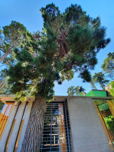 Imagen 5 de 15 de Alquilo En El Bosque De Mar Azul,estilo Minimalis P/3pers
