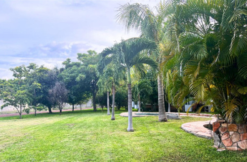 Terreno En Venta Con Alberca En Chiconcuac, Xochitepec Morelos