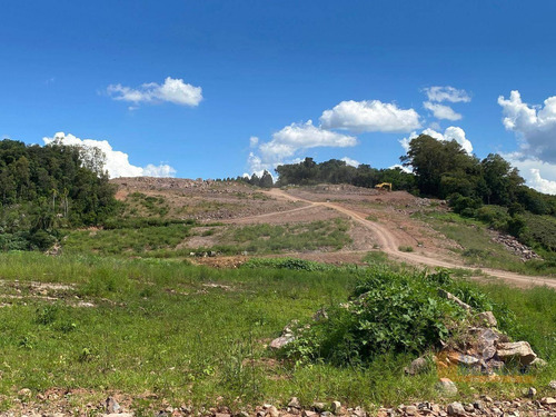 Imagem 7 de 11 de Terreno À Venda, 327 M² Por R$ 105.000,00 - Nossa Senhora Das Graças - Caxias Do Sul/rs - Te0244