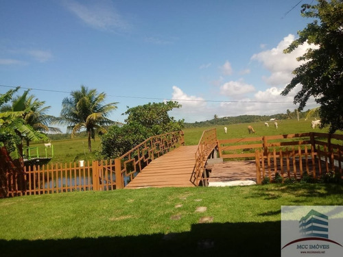 Imagem 1 de 6 de Chácara A Venda Em Nisia Floresta