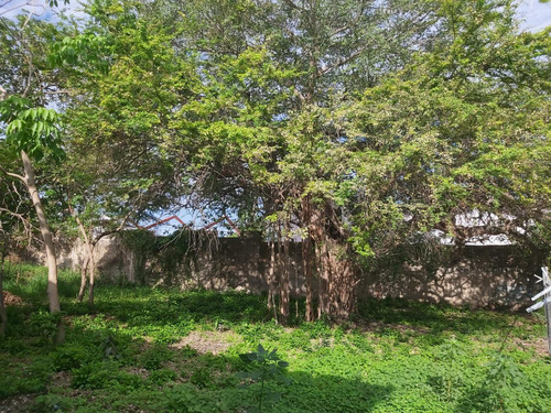Imagen 2 de 11 de Terreno En Venta En Puerto Vallarta - Ixtapa