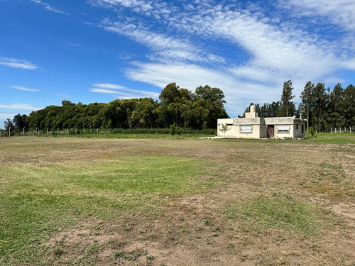 Campo  1 Hectarea Con Casa 3 Ambientes Mercedes 