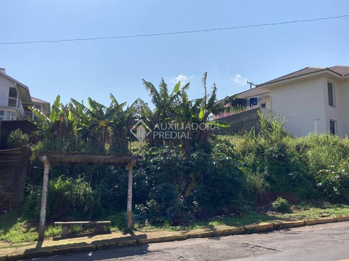Imagem 3 de 4 de Terreno - Rondonia - Ref: 322152 - V-322152