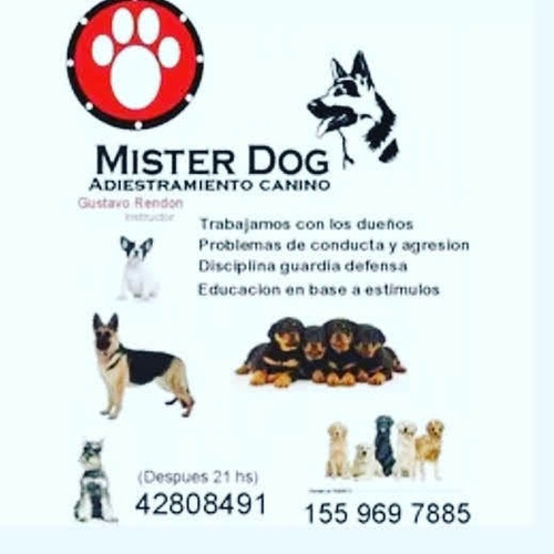 Imagen 3 de 3 de Adiestramiento Canino