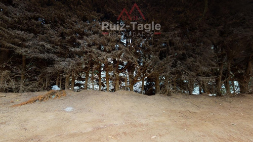 Imagen 1 de 13 de Venta De Maravilloso Terreno En Zapallar, Diego Sutil