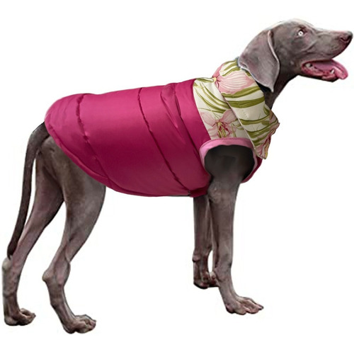 Imagen 5 de 9 de Campera Inflada Impermeable Talles Grandes