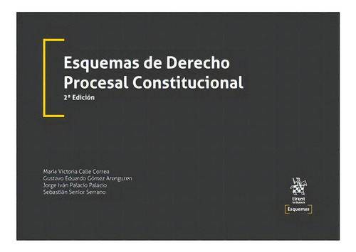 Esquemas De Derecho Procesal Constitucional 2ª Edición, De Jorge Iván Palacio Palacio. Editorial Tirant Lo Blanch, Tapa Blanda En Español, 2022