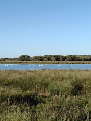 Imagen 8 de 19 de Campo En Venta - 101 Hectáreas - Pinamar