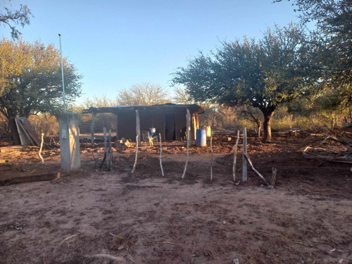 Campo Ganadero En Catamarca Casa De Piedra