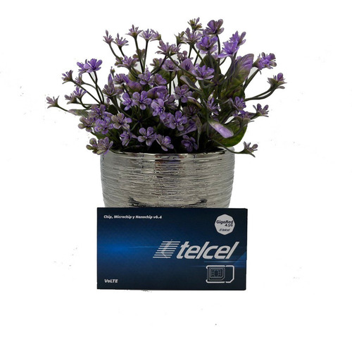 2 Sim Chip Telcel Lada 55 Incluye Recarga De $200 Ilimitado