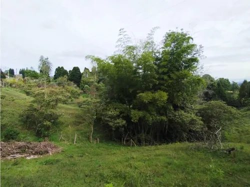 Venta De Lote En Guarne, Vereda Hojas Anchas