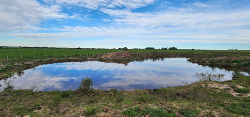 Imagen 30 de 30 de Excelente Campo Con Muy Buenas Mejoras .