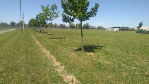 Imagen 2 de 5 de Lote En Fincas De San Vicente Sporting - San Vicente - Canning