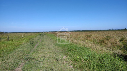 Imagem 30 de 30 de Fazenda Localizada Em Iguape- Sp Com 280 Alqueires - 262 - 71153412