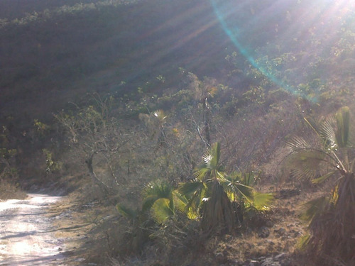Terreno Rústico En Venta 398 Hectáreas En Chilpancingo Guerrero