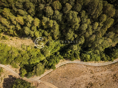 Imagen 15 de 21 de Parcelas A 18 Km De Rio Bueno Con Orilla De Rio