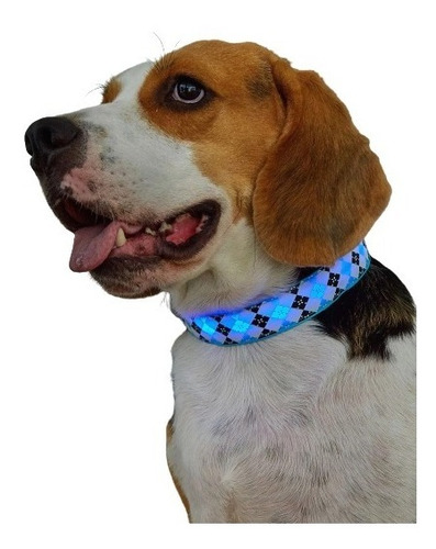 Collares Led Luminosos  Para Mascotas Perro Gato