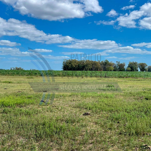 Se Venden 78 Hectáreas De Campo En Saladillo.