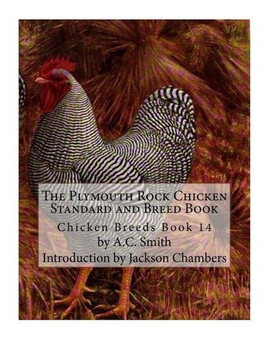 The Plymouth Rock Chicken Standard And Breed Book - A C S...