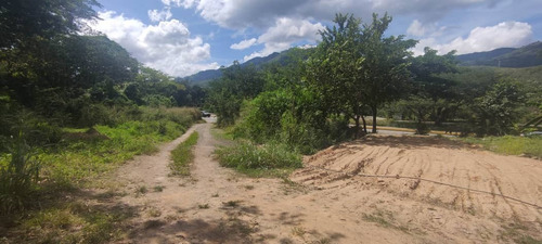 Imagen 2 de 12 de Finca En Venta Mina De Arena El Cambur. Estado Carabobo