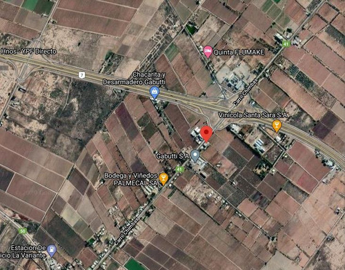 Imagen 2 de 3 de Finca Y Bodega A La Venta En Mendoza