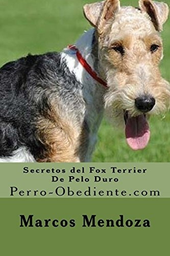 Secretos Del Fox Terrier De Pelo Duro: Perro-obediente.com