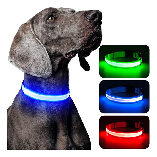 Perro Led Iluminado Recargable Por Impermeable Brillante Aju