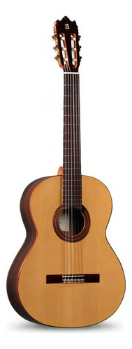 Guitarra clásica Alhambra Estudio Iberia Ziricote brillante