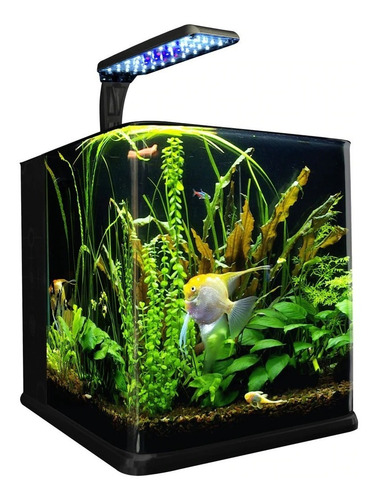 Imagen 1 de 3 de Acuario Pecera Lomas Kit Aquajet Nano 2.5 18 Litros