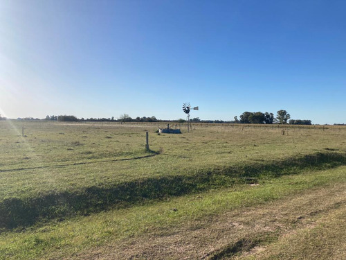 Campo En Venta Las Flores